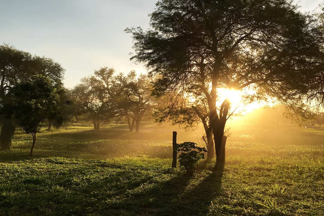 Open pasture and farm landscape at Agroganadera La Huella