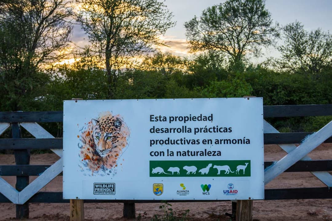 Wildlife-friendly cattle management in the Chaco